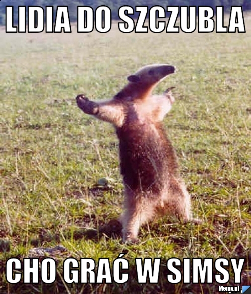 LIDIA DO SZCZUBLA CHO GRAĆ W SIMSY