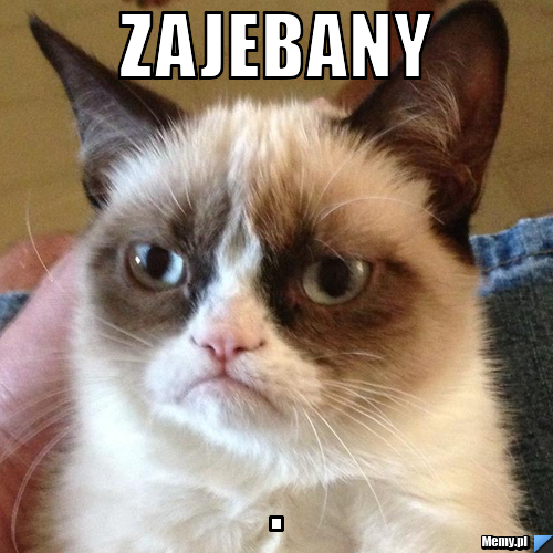 ZAJEBANY .
