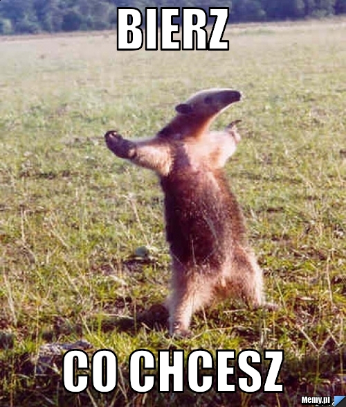 BIErz co chcesz 