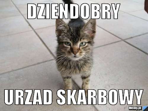 Dziendobry urzad skarbowy