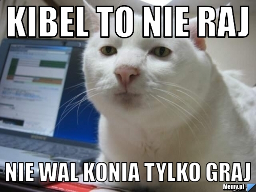 Kibel to nie raj nie wal konia tylko graj