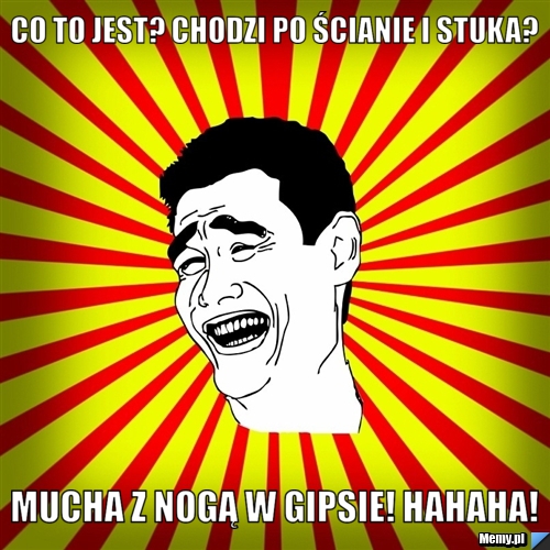 Co to jest? chodzi po ścianie i stuka? mucha z nogą w gipsie! hahaha!