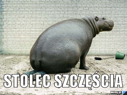  STOLEC SZCZĘŚCIA