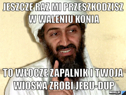 Jeszcze raz mi przeszkodzisz w waleniu konia to włocze zapalnik i twoja wioska zrobi JEBU-DUP