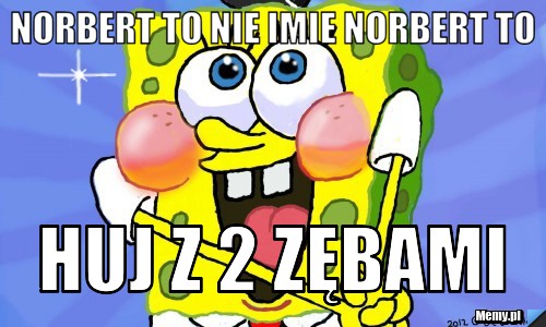 Norbert to nie imie norbert to huj z 2 zębami