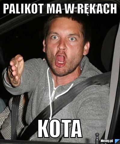 Palikot ma w rękach kota