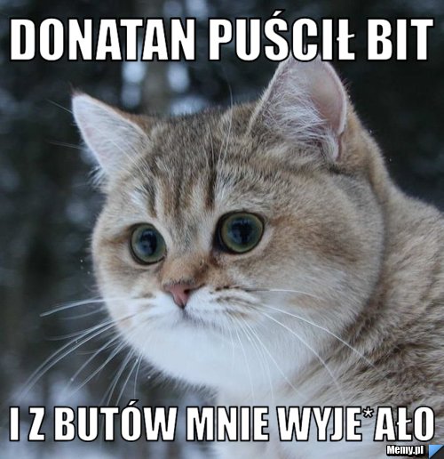 Donatan puścił bit I z butów mnie wyje*ało