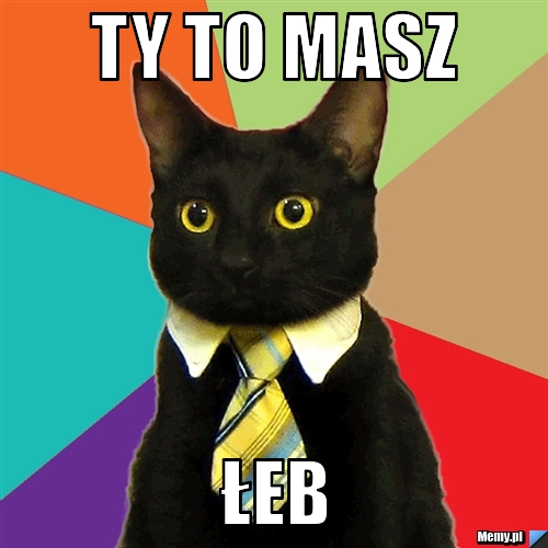 Ty to masz łeb
