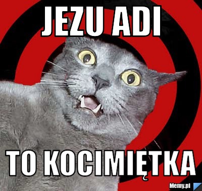 Jezu Adi  to kocimiętka 