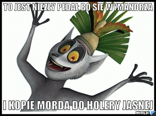 To jest niezły pedał bo sie wymandrza i kopie morda do holery jasnej