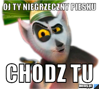 Oj ty niegrzeczny piesku chodz tu
