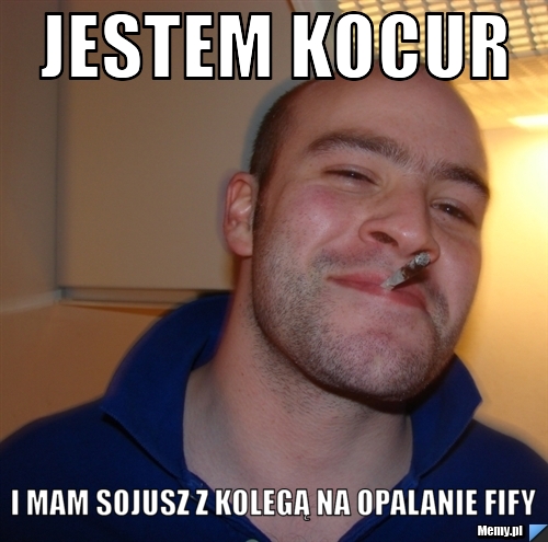 Jestem kocur i mam sojusz z kolegą na opalanie fify