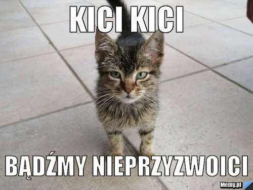 Kici kici  bądźmy nieprzyzwoici
