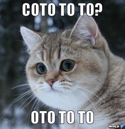 Coto to to? oto to to