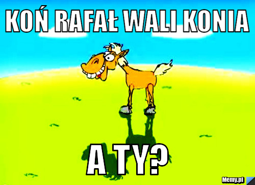 Koń Rafał wali konia a ty?