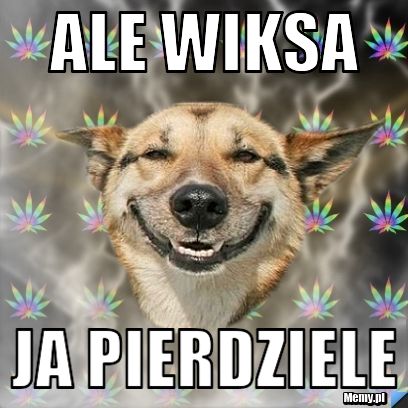 Ale wiksa ja pierdziele