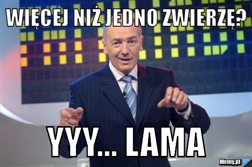 Więcej niż jedno zwierzę? yyy... lama