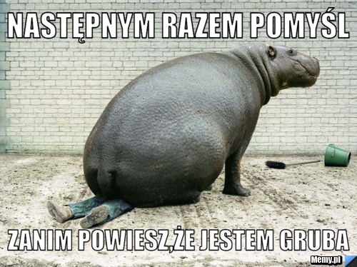 Następnym razem pomyśl zanim powiesz,że jestem gruba