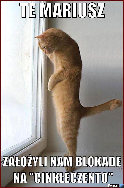 Te Mariusz założyli nam blokadę na "cinkłeczento"