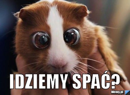  idziemy spać?