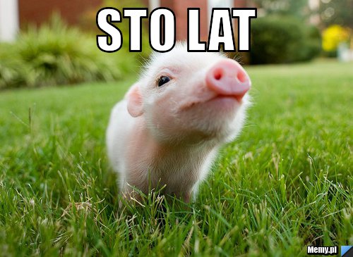 Sto lat 