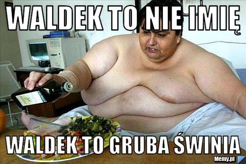 Waldek to nie imię Waldek to Gruba Świnia