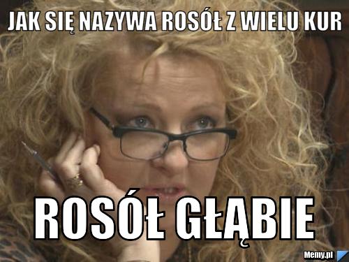 Jak się nazywa rosół z wielu kur rosół głąbie