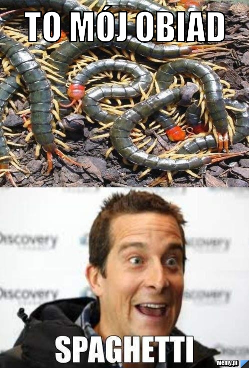 To mój obiad 