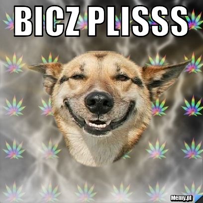 Bicz plisss 