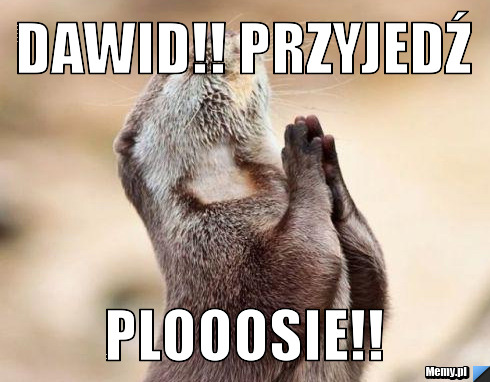 DAWID!! PRZYJEDŹ  PLOOOSIE!!