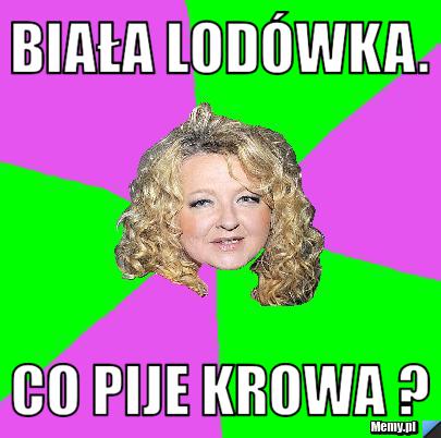 Biała lodówka. Co pije krowa ?