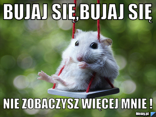 Bujaj się,bujaj się nie zobaczysz więcej mnie !