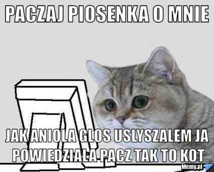 Paczaj piosenka o mnie jak aniola glos uslyszalem ja powiedziala PACZ tak to kot