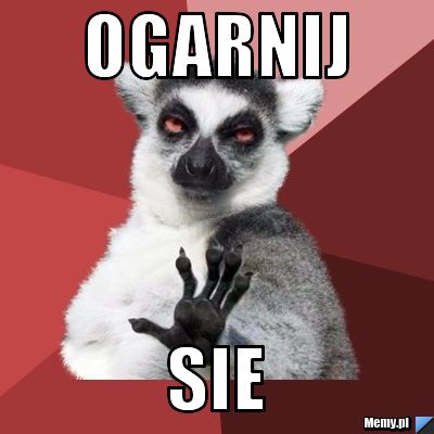 OGARNIJ SIE