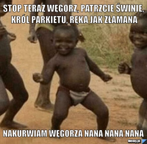 Stop teraz węgorz, patrzcie świnie, król parkietu, ręka jak złamana Nakurwiam węgorza Nana nana nana