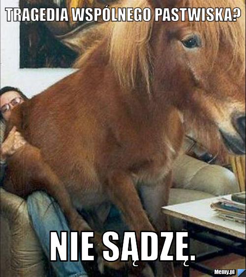 Tragedia wspólnego pastwiska? nie sądzę.