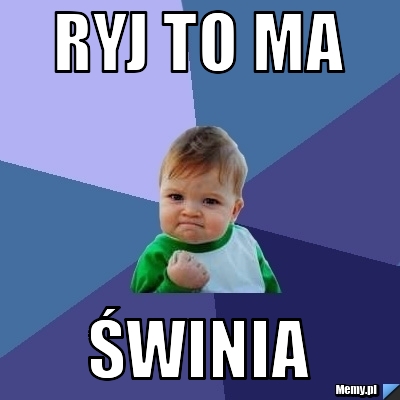 Ryj TO MA ŚWINIA