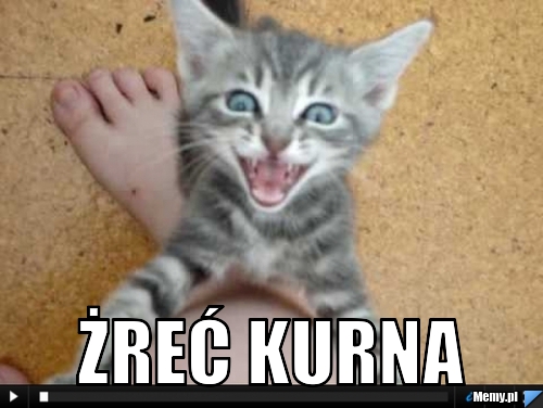  żreć kurna