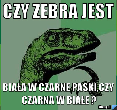 CZY ZEBRA JEST  BIAŁA W CZARNE PASKI,CZY CZARNA W BIAŁE ?