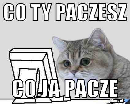 Co ty paczesz co ja pacze