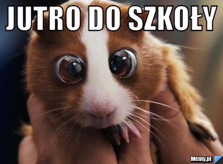 Jutro do szkoły 