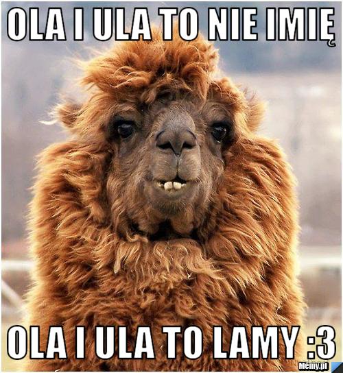 Ola i Ula to nie imię Ola i Ula to lamy :3