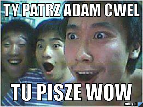 Ty patrz adam cwel   tu pisze wow 
