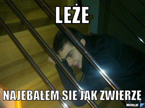 Leże  najebałem sie jak zwierzę 