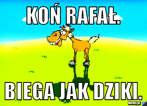 Koń rafał. biega jak dziki.