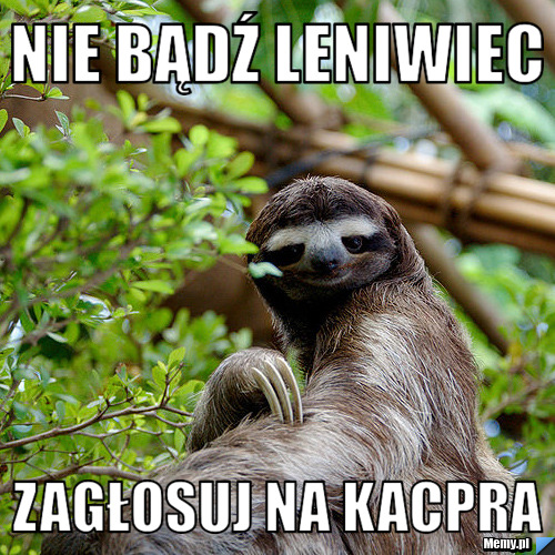 Nie bądź leniwiec zagłosuj na kacpra  