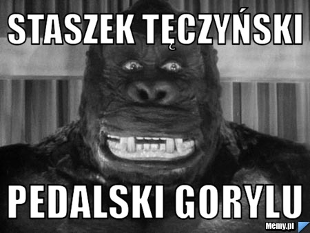 Staszek tęczyński pedalski gorylu Memy.pl