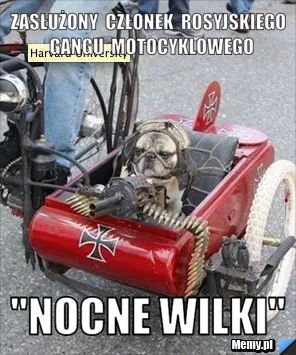 Zasłużony  członek  rosyjskiego  gangu  motocyklowego "nocne wilki"