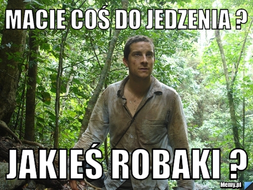 Macie coś do jedzenia ? jakieś robaki ?