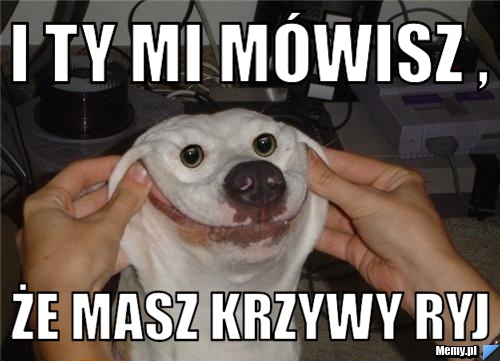 I ty mi mówisz , że masz krzywy ryj